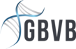 GBVB Logo