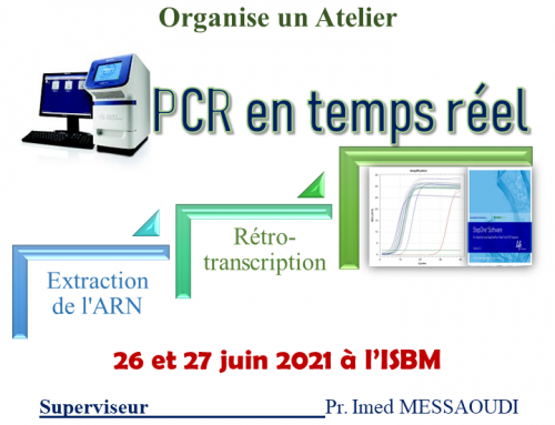 PCR en temps réel 26 et 27 Juin 2021 à l’ ISBM