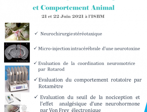 Neurochirurgie Stéréotaxique et Comportement Animal  21 et 22 Juin à l’ISBM